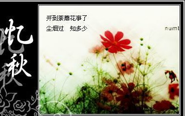 荼靡是什么意思『荼靡是什么花，有什么寓意』